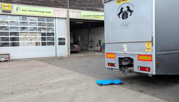 Koch Nutzfahrzeuge Gmbh Neueste - Wohlen
