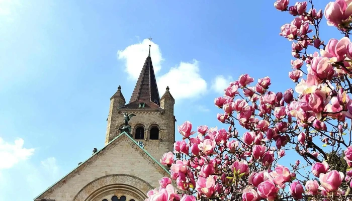 Kulturkirche Paulus -  Offnungszeiten - Basel
