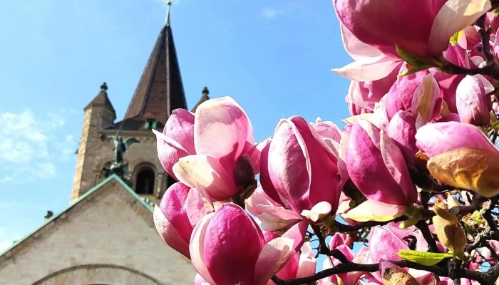 Kulturkirche Paulus -  Preise - Basel