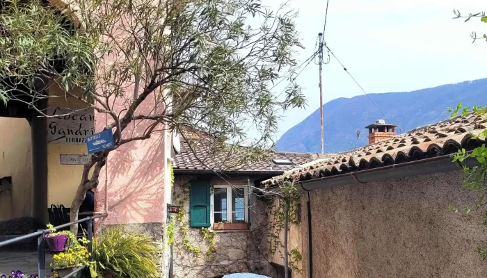La Bouganville -  Webseite - Lugano
