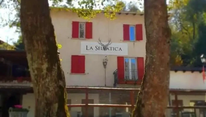 La Selvatica Bisteak Sagl -  Vom Inhaber - Banco