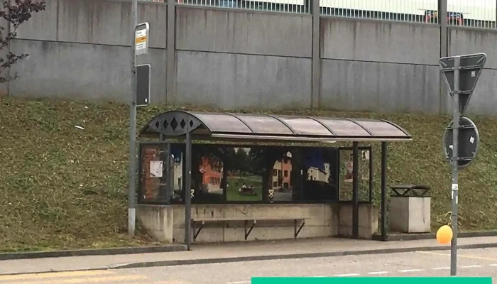 Lamone Cadempino, Stazione - Lamone