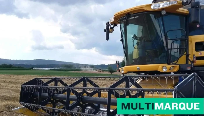 Land Und Baumaschinen Service Ag -  Traktor - Ettingen