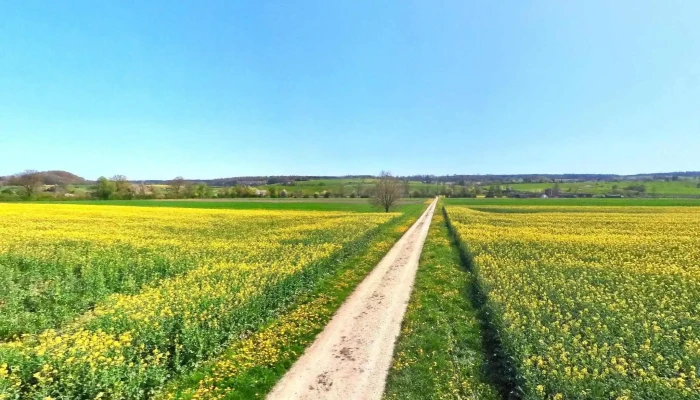 Landi Leuzigen - Leuzigen