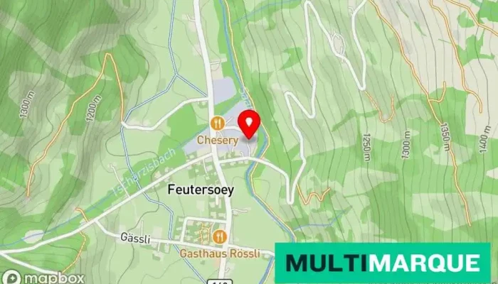 Ledi-Garage Feutersoey Ag – Land Rover Schweiz - Gsteig