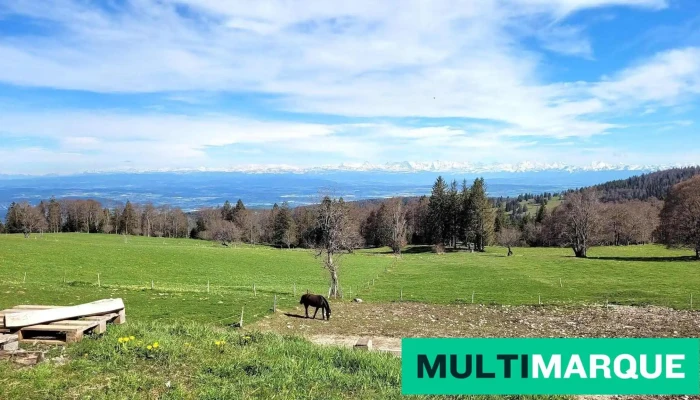 Leubringenberg - Schweiz