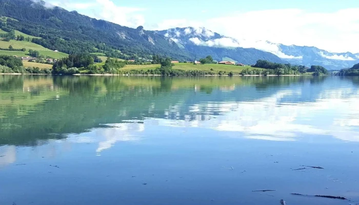 Liebherr -  International Ag Videos - Bulle