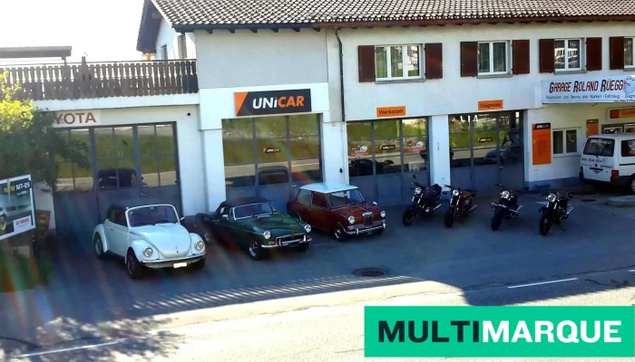 Linthcar Autovermietung Uznach - Gommiswald