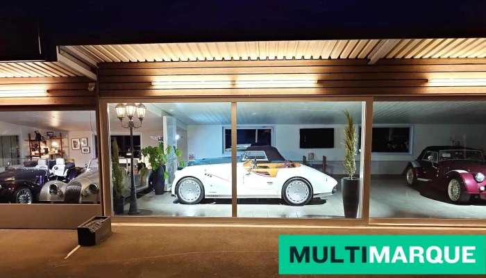 Lundgren Ag, Wisental-Garage - Mörschwil