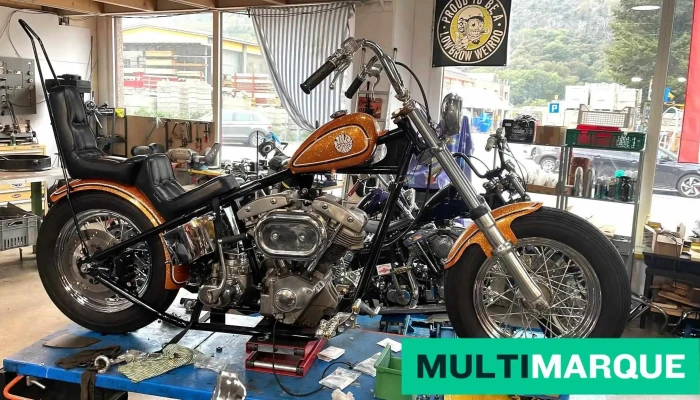 Magneto Meccanico Motorcycle Sagl Harley Service Repair Vom Inhaber - Mezzovico-vira
