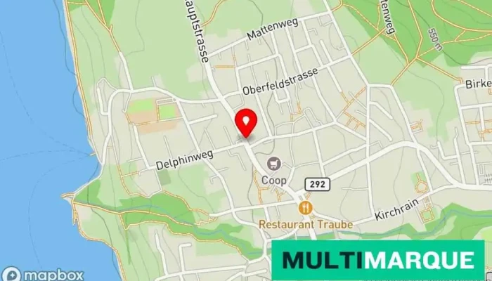 Karte von Meisterschwanden, Delphinweg Bushaltestelle in Meisterschwanden