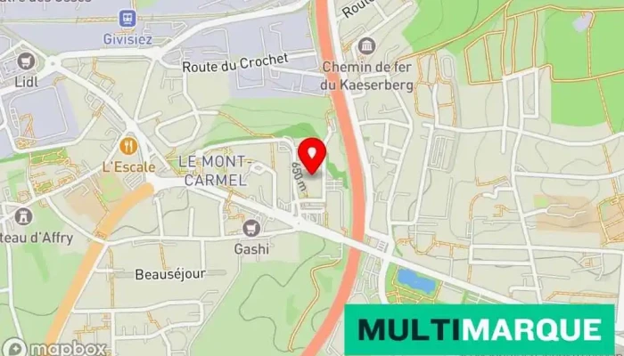 Mobility Carsharing -  Karte - Givisiez