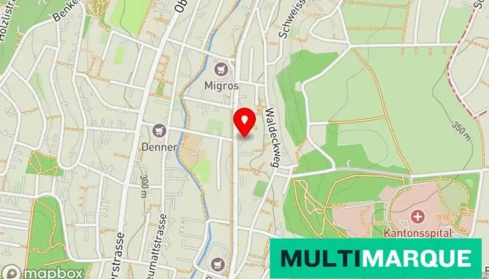 Mobility Carsharing -  Karte - Binningen
