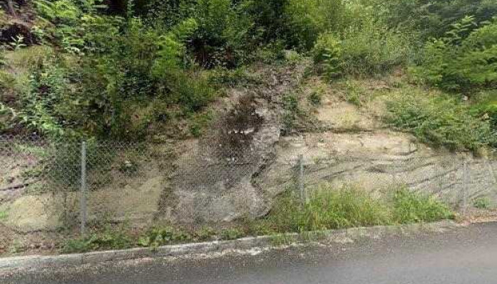 Mont -  Rose Automobile Street View 360deg Fotos - Fribourg