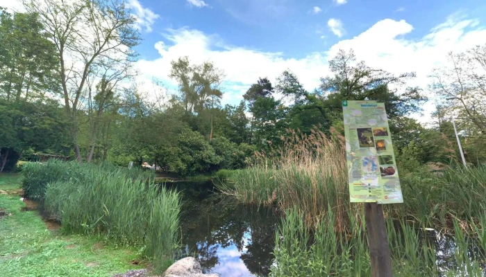 Oberwil -  Street View 360deg Fotos - Oberwil