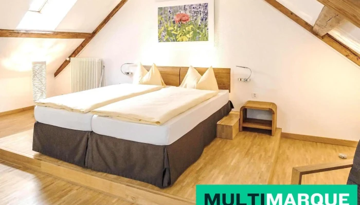 Odelya -    Stadthotel Im Park Zimmer - Basel