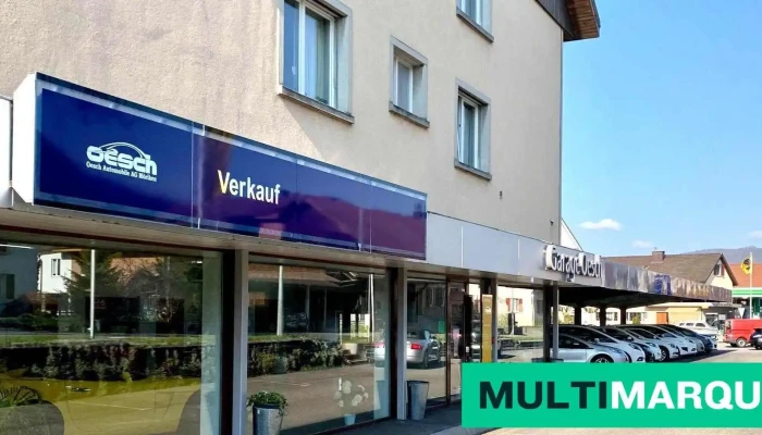 Oesch Automobile -  Alle - Möriken-wildegg