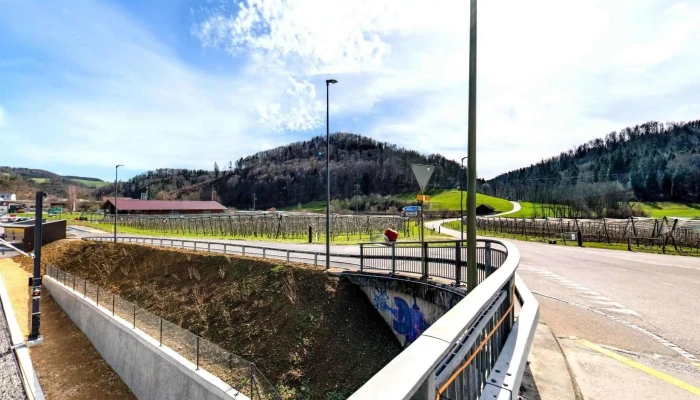 Opfelhusli Street View 360deg Fotos - Hölstein