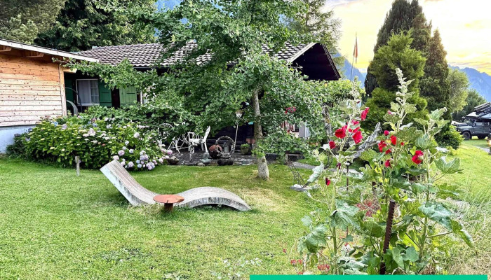 Panorama - Aeschi Bei Spiez