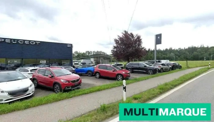 Peugeot at P. Leibundgut Ag - Ramsei