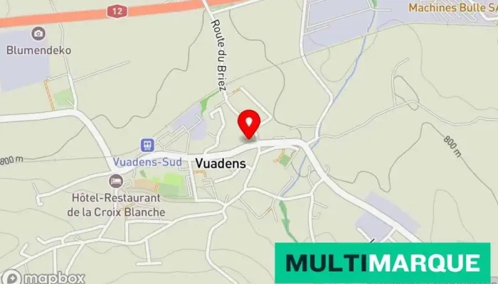 Pierre -  Alain Vionnet Karte - Vuadens