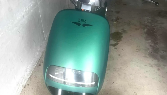 Plugbikes Handler Fur Elektroroller - Birsfelden