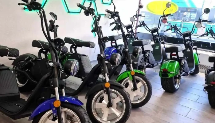 Plugbikes Vom Inhaber - Birsfelden