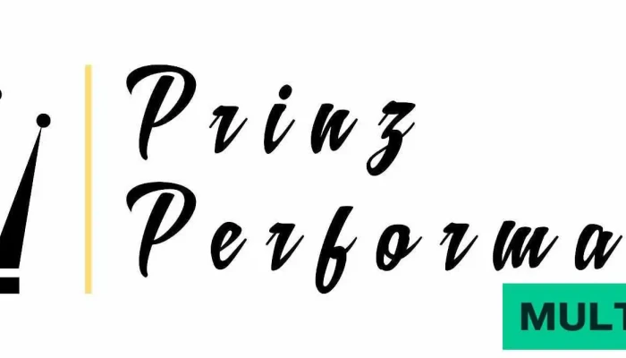 Prinz Performance Gmbh Vom Inhaber - Muttenz