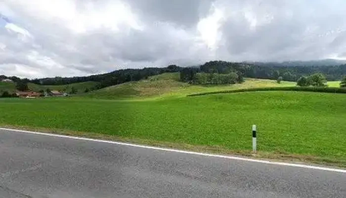 Renaude Johnny -  Alle - La Roche