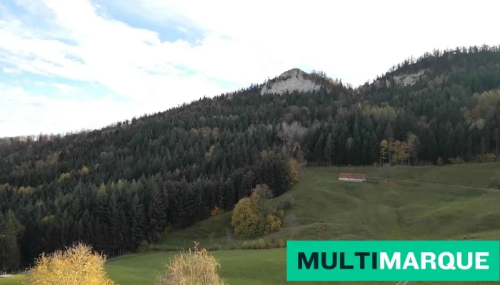 Restaurant Berghaus Oberbolchen Videos - Eptingen