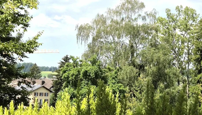 Restaurant Chang -  Cheng Restaurant - Mellingen