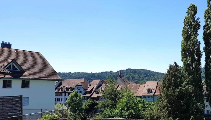 Restaurant Chang -  Cheng Telefon - Mellingen