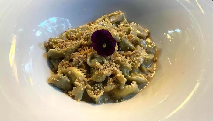 Restaurant Ticinella -  Webseite - Ascona