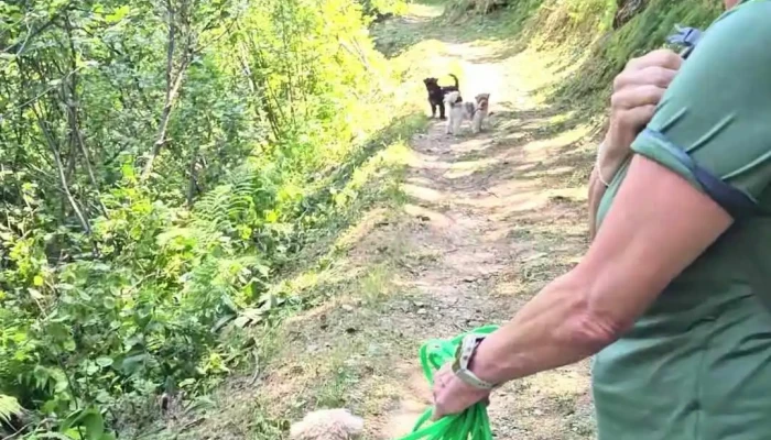 Rifugio Lago Ritom -  Videos - Piora