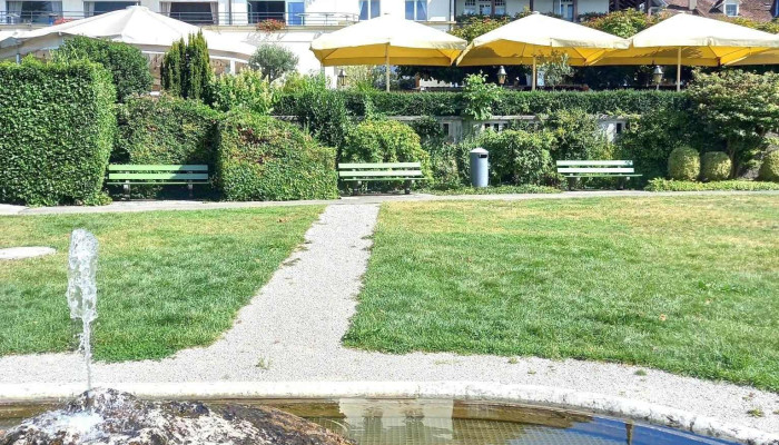 Schiff Am See -  Von Gasten - Murten