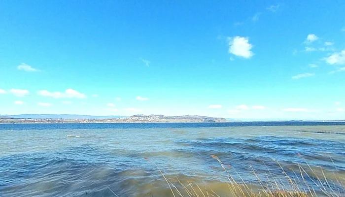 Seeland Bio -  Murten 5 - Murten