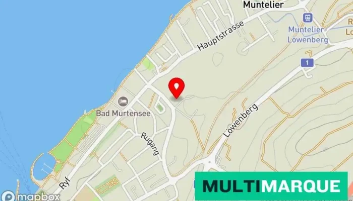 Seepark Business Hotel Murten -  Muntelier 1 - Muntelier
