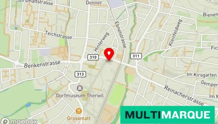 Shahin Restaurant Pizzeria -  Karte - Therwil
