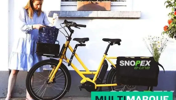 Snopex Sa -  Vom Inhaber - Balerna