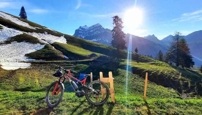 Specialized Fribourg -  Fahrradgeschaft - Fribourg