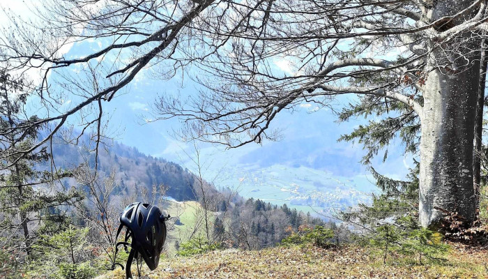 Specialized Fribourg -  Fribourg - Fribourg