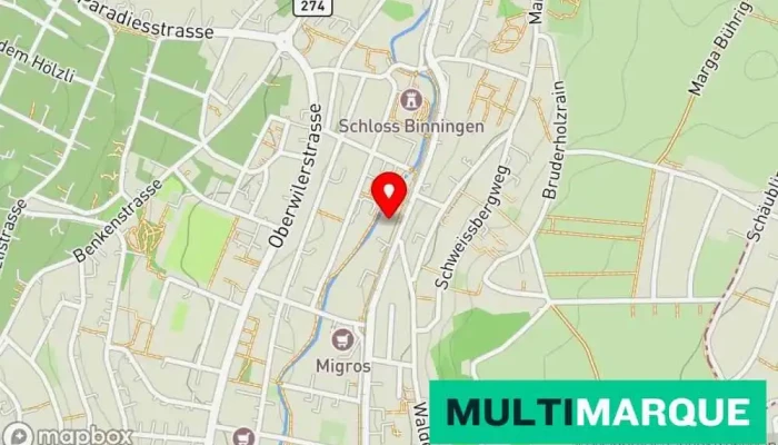 Spiesshofli Karte - Binningen