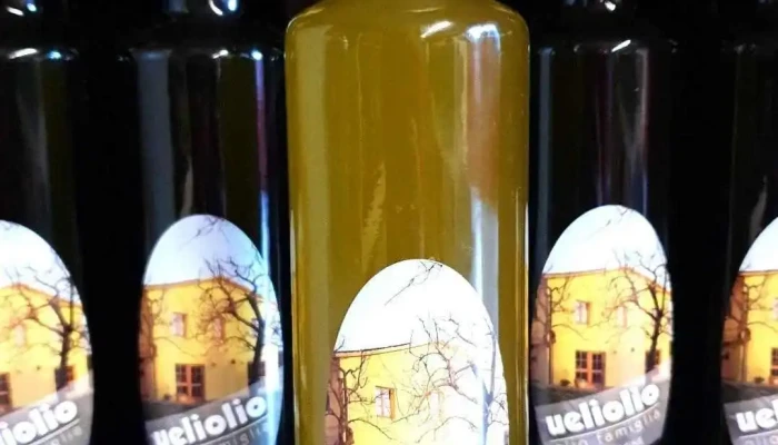 Spycher Gmbh Alle - Bubendorf