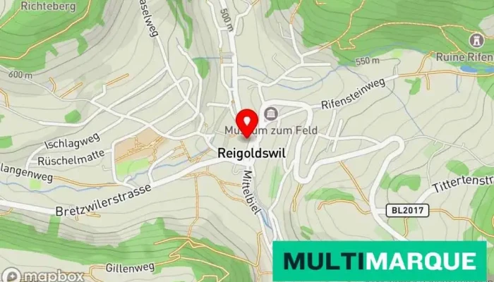 Stall Dettwiler -  Karte - Reigoldswil