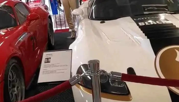 Swiss Viper Museum -  Videos - Givisiez