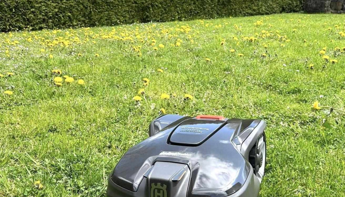 Sylviculture Et Jardin Bulle Sarl Vom Inhaber - Bulle