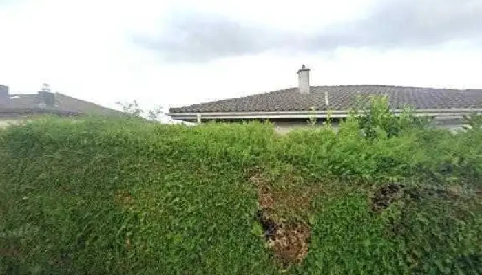 Thoms Drive Street View 360deg Fotos - Düdingen
