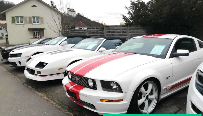 Tm Cars Parts Alle - Holderbank