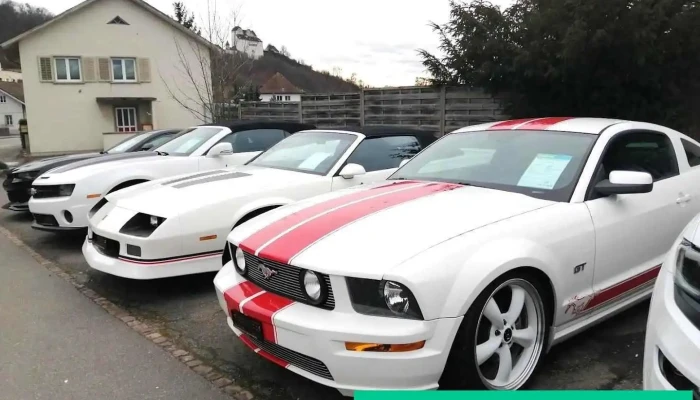 Tm Cars & Parts - Holderbank