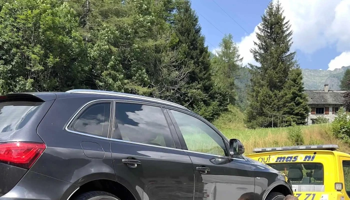 Tognetti Auto -  Autohandler - Ascona